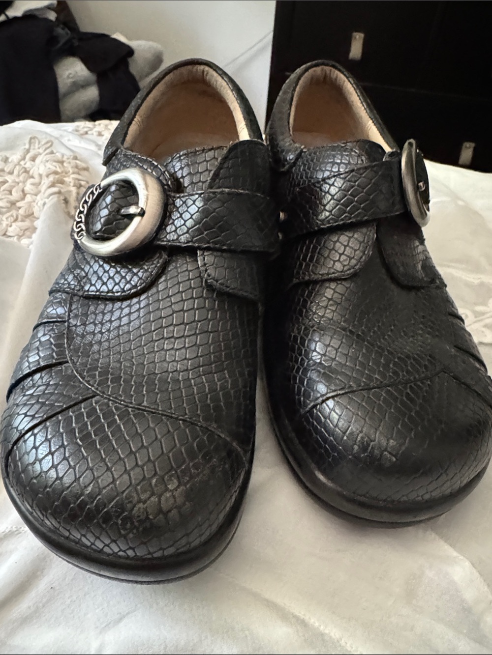 Alegria Black Leather Slip-On Loafers with Silver Buckle - Picture 2 of 7